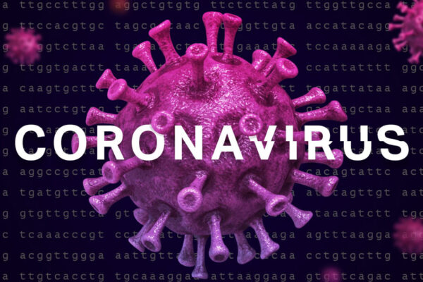 corona virus updates